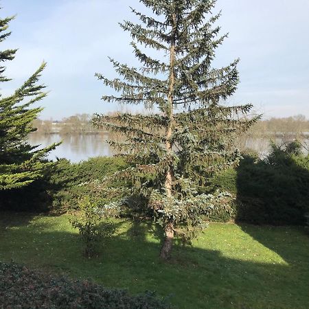 Une Nuit Sur Loire Treves-Cunault 外观 照片