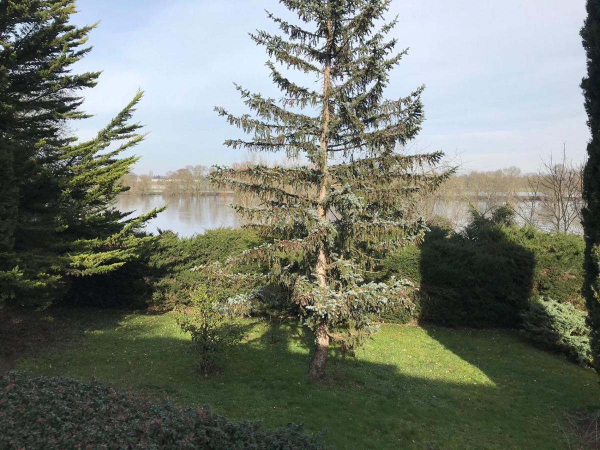 Une Nuit Sur Loire Treves-Cunault 外观 照片